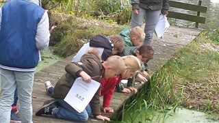 IMG-20161012-WA0036